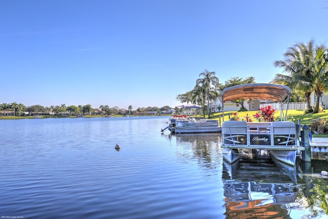 dock area with a water view