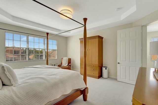 carpeted bedroom featuring a raised ceiling