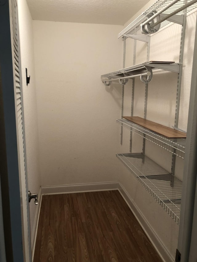 walk in closet with dark hardwood / wood-style flooring