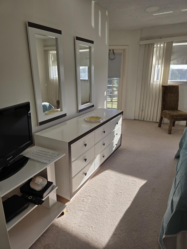 bedroom featuring multiple windows, light colored carpet, and a textured ceiling