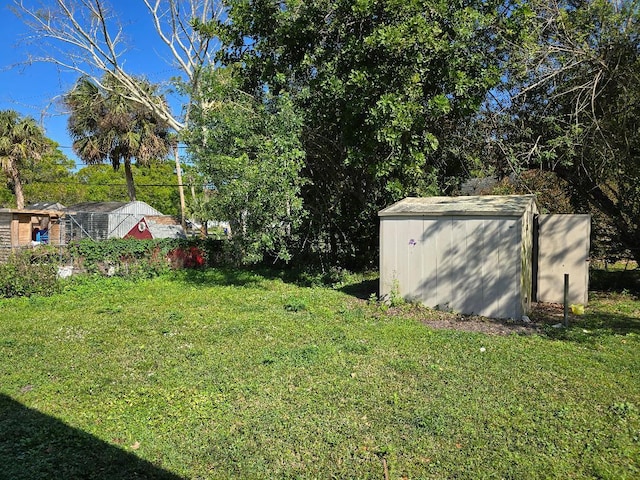 view of yard featuring a storage unit