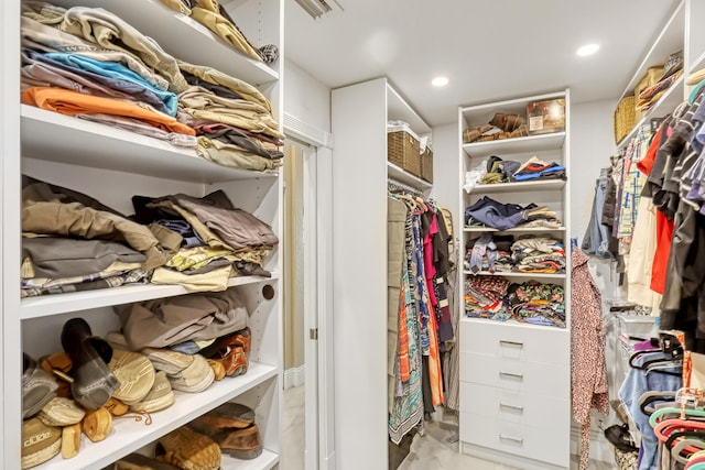 view of spacious closet