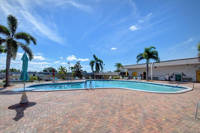 view of pool featuring a patio