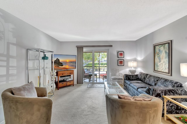 living room featuring a textured ceiling and carpet flooring