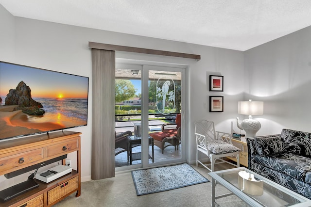 carpeted living room with a textured ceiling