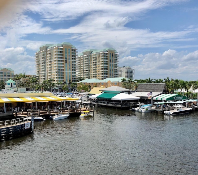 dock area with a water view