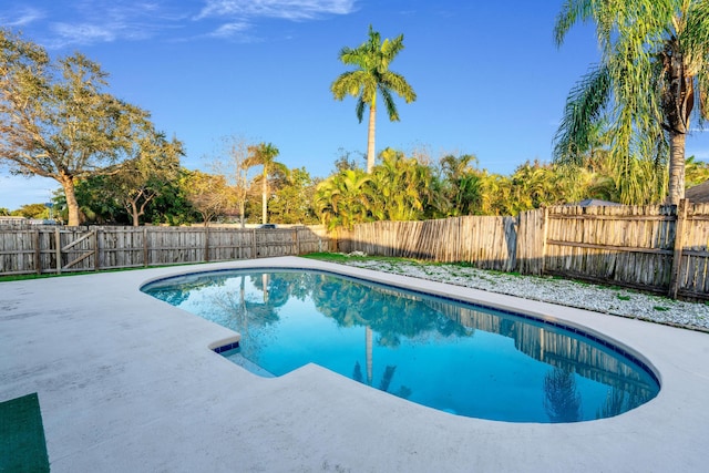 view of swimming pool