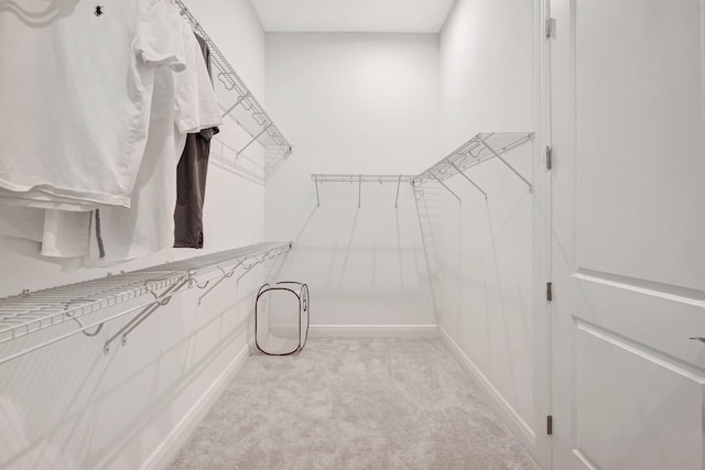 walk in closet featuring light carpet