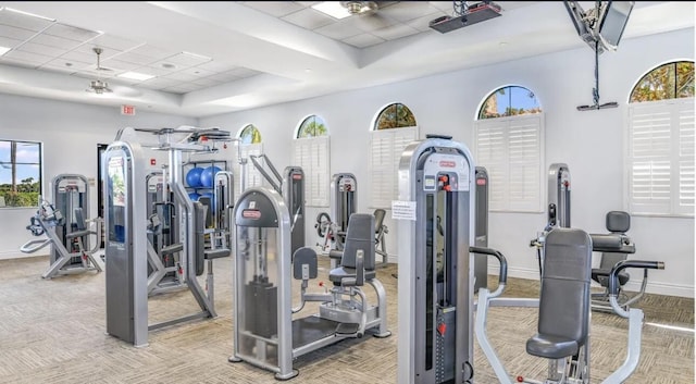 workout area with light carpet, a paneled ceiling, and a raised ceiling