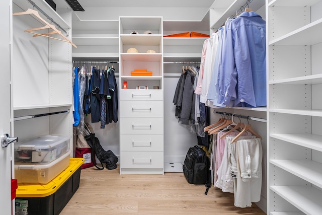 walk in closet with light hardwood / wood-style flooring