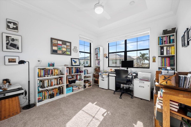 office space featuring a raised ceiling and light carpet