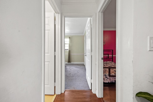 hall with crown molding and hardwood / wood-style floors