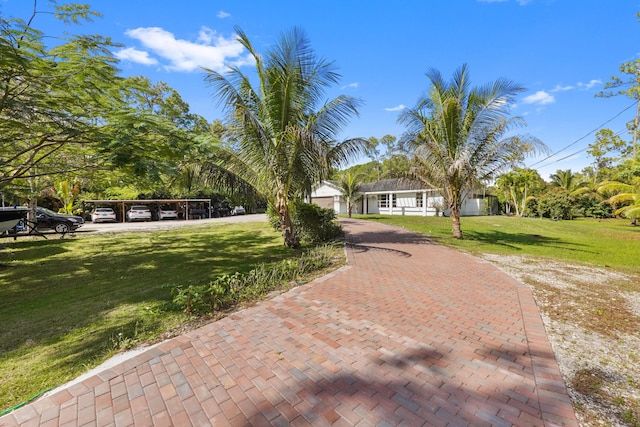 view of property hidden behind natural elements with a front lawn