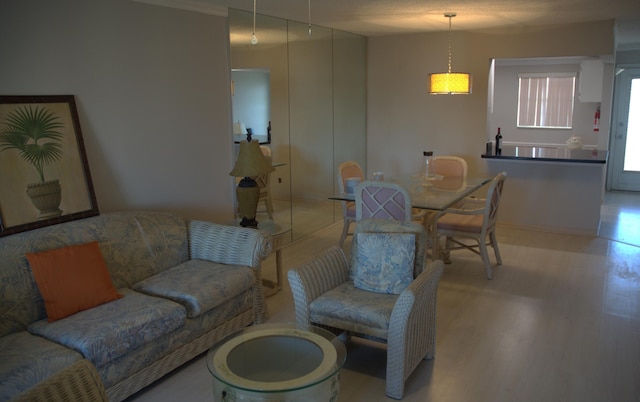 living room featuring light wood-type flooring