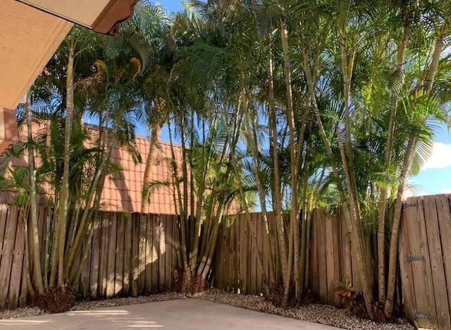 view of yard featuring a patio area