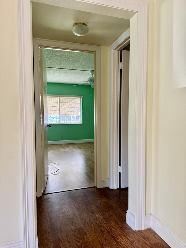 corridor featuring dark wood-type flooring