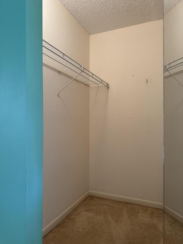 spacious closet with carpet floors