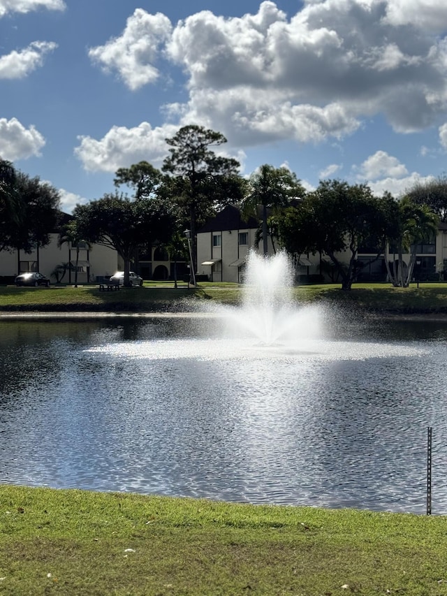 view of water feature