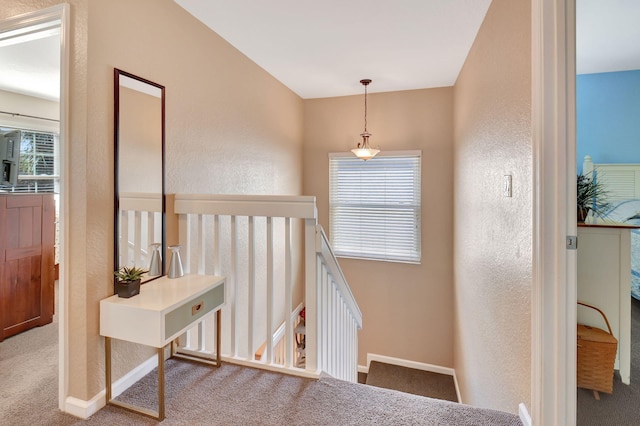 stairway with carpet