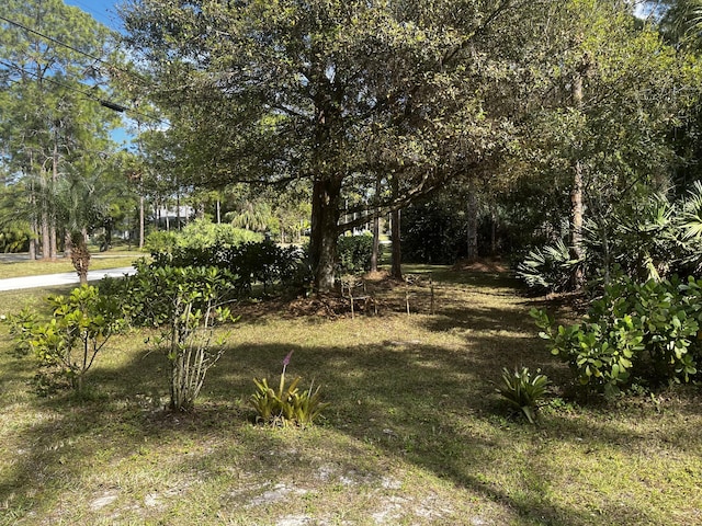 00000 75th Pl N, The Acreage FL, 33470 land for sale