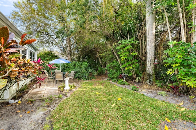 view of yard with a patio area