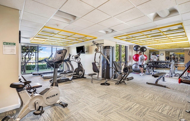 workout area featuring carpet floors and a drop ceiling