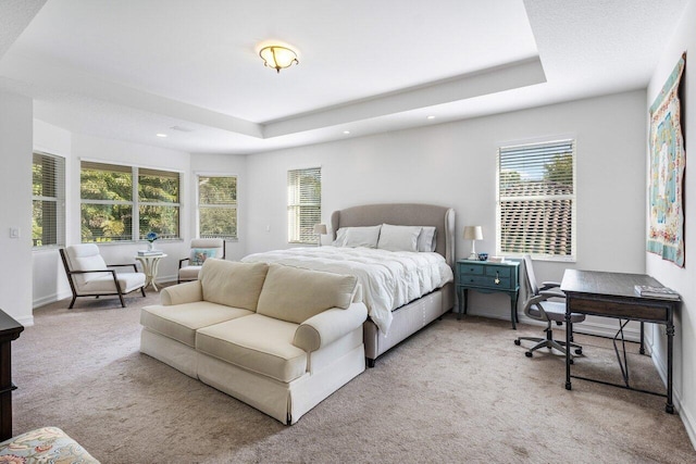 carpeted bedroom with a tray ceiling