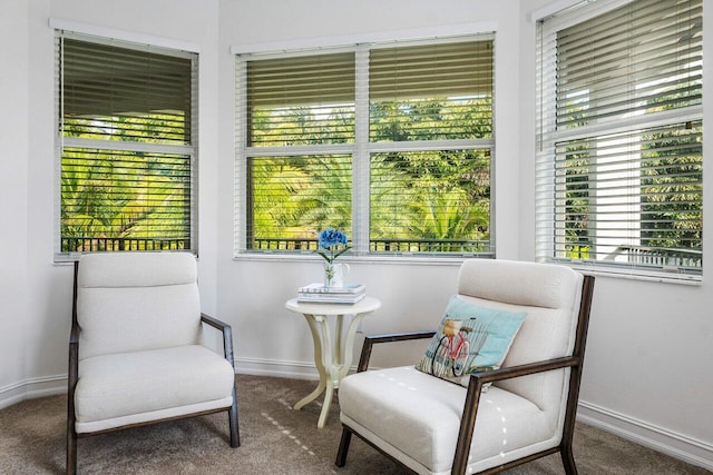 8187 Mariano Falls Ln, Boynton Beach, FL 33473 - living area with baseboards and carpet