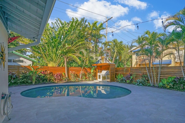 view of swimming pool with a patio area