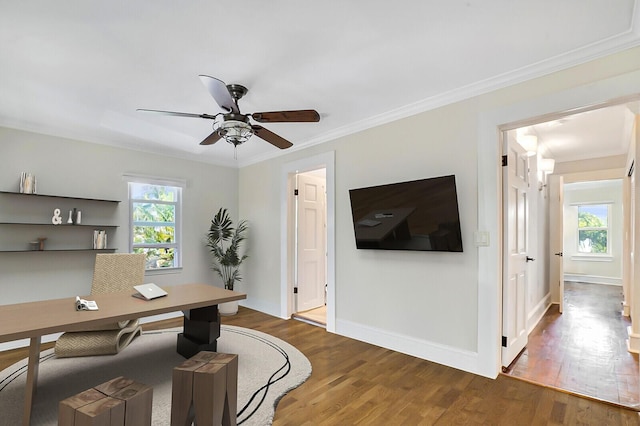 office space featuring crown molding, dark hardwood / wood-style floors, a wealth of natural light, and ceiling fan