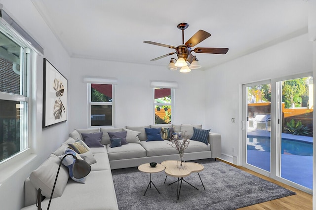 living room with hardwood / wood-style flooring and ceiling fan