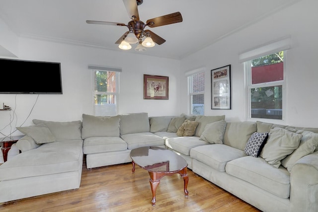 living room with hardwood / wood-style flooring, ornamental molding, and ceiling fan