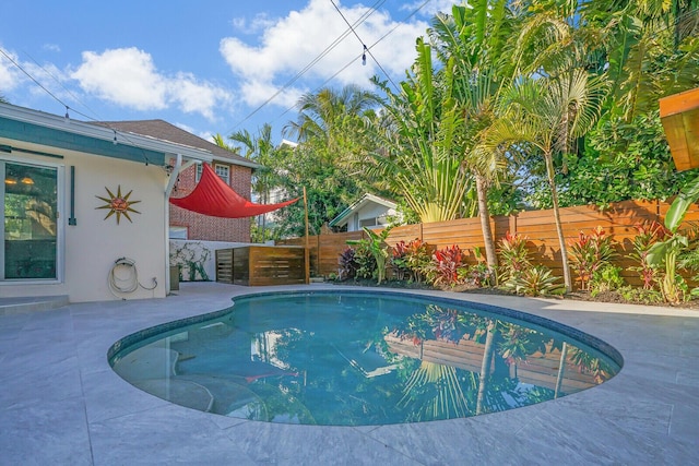 view of pool featuring a patio