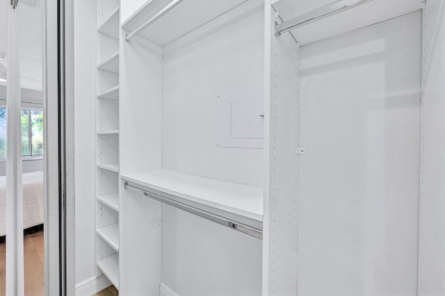 spacious closet with wood-type flooring