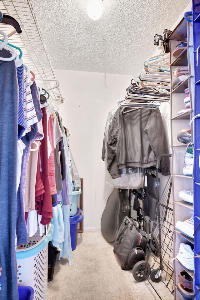 spacious closet featuring carpet