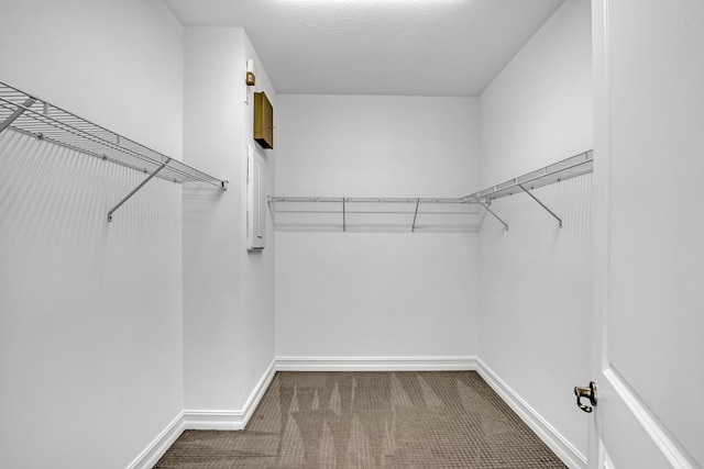 walk in closet featuring carpet flooring