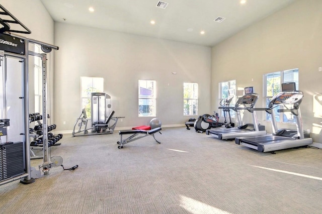 workout area featuring carpet floors and a high ceiling