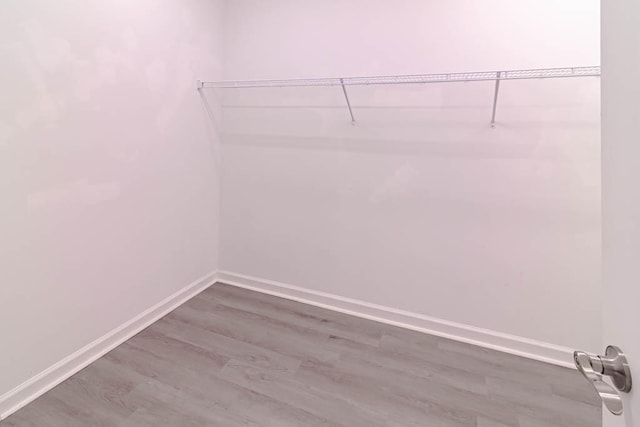 spacious closet featuring wood-type flooring