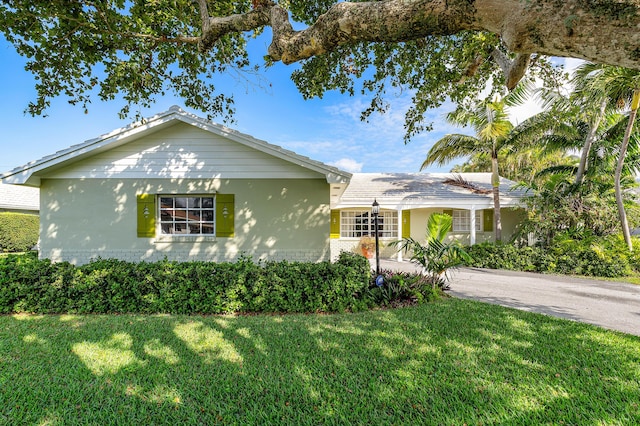 ranch-style house featuring a front yard