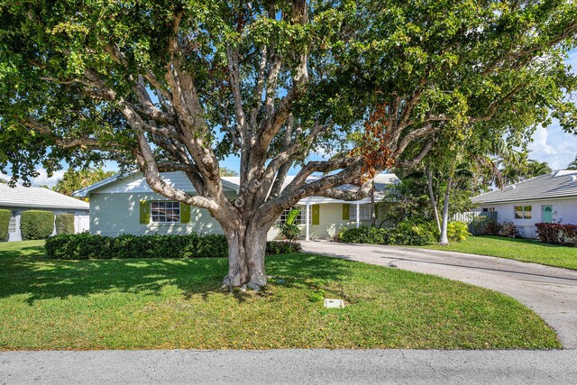 1210 Dolphin Rd, Singer Island, FL 33404 - view of front facade featuring driveway, a front yard, and stucco siding