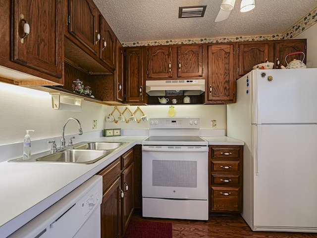 kitchen with dark hardwood / wood-style flooring, sink, white appliances, and a textured ceiling