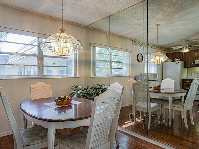 dining room featuring wood-type flooring, ceiling fan with notable chandelier, and a textured ceiling