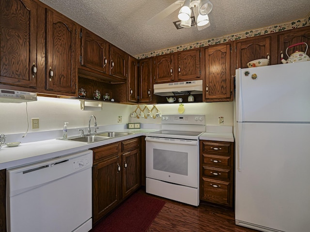 kitchen with sink, dark wood-type flooring, a textured ceiling, and white appliances