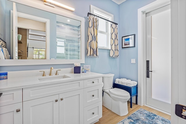 bathroom featuring toilet, wood finished floors, and vanity