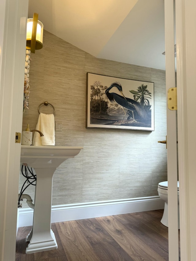 bathroom with hardwood / wood-style floors and toilet