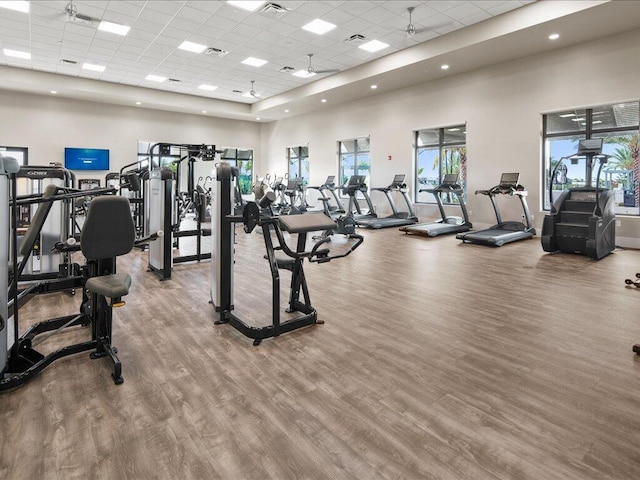 exercise room featuring hardwood / wood-style flooring, a towering ceiling, and a paneled ceiling