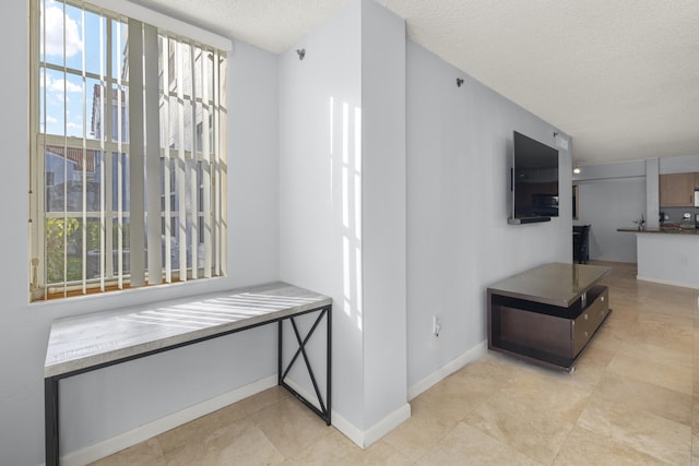 hall featuring a healthy amount of sunlight and a textured ceiling