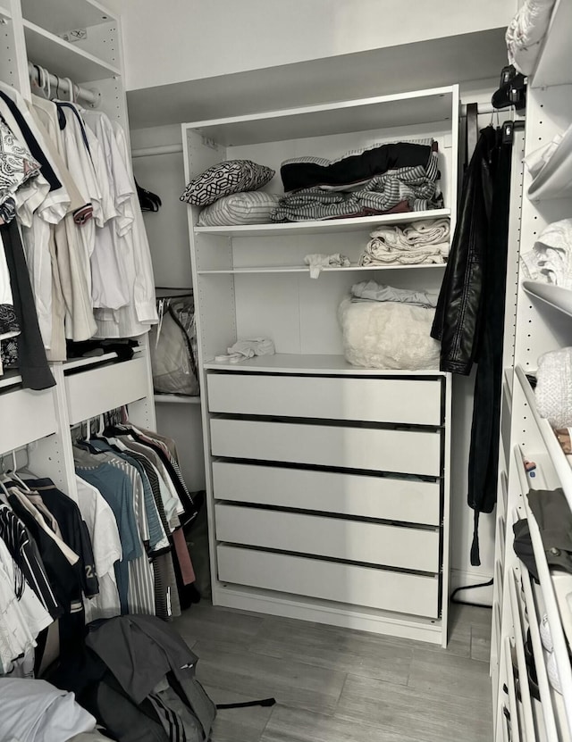 walk in closet with light wood-type flooring