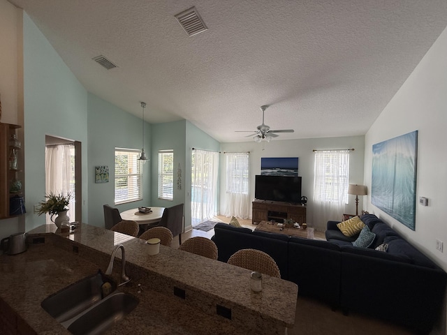 living room featuring vaulted ceiling, a healthy amount of sunlight, sink, and a textured ceiling