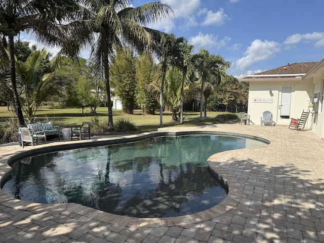 view of swimming pool with a patio area